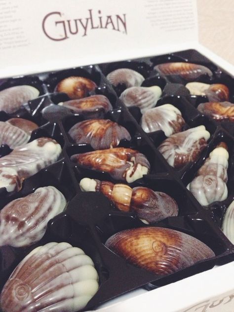 Guylian Belgian Chocolate Sea Shells. I love all things Guylian. Sea Shells Chocolate, Expensive Chocolate Aesthetic, Guylian Chocolate, Chocolate Seashells, Shell Chocolate, Expensive Chocolate, Chocolate Dreams, Chocolate Shells, Healthy Groceries