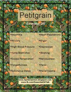 Petitgrain Essential Oil Benefits/ To order my link is on my profile. My member… Petitgrain Essential Oil, Terra Essential Oils, Brown Basket, Calendula Benefits, Lemon Benefits, Coconut Health Benefits, Benefits Of Coconut Oil, Essential Oil Benefits, Young Living Oils