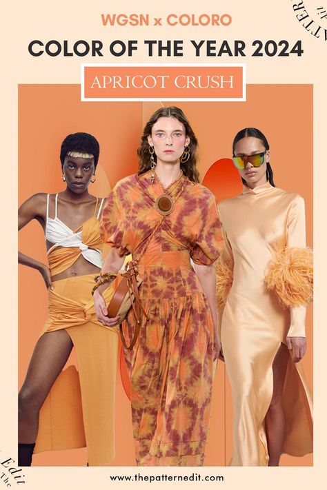 What'S The Color Of 2024 Vakantie Aloise Robenia Trendy Color Palette 2023, Apricot Crush, Color Of The Year 2024, Color Forecasting, Fashion Trend Forecast, Ss 2024, Trend Forecast, Color Trends Fashion, Fashion Forecasting