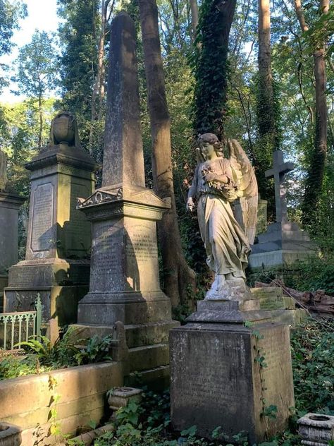 Highgate cemetery London England High Gate Cemetery London, Fallen Aesthetic, Cemetry Gates, Cemetery Aesthetic, Victorian Cemetery, Abandoned Cemetery, Skeleton Garden, Highgate Cemetery London, Cemetery Photography