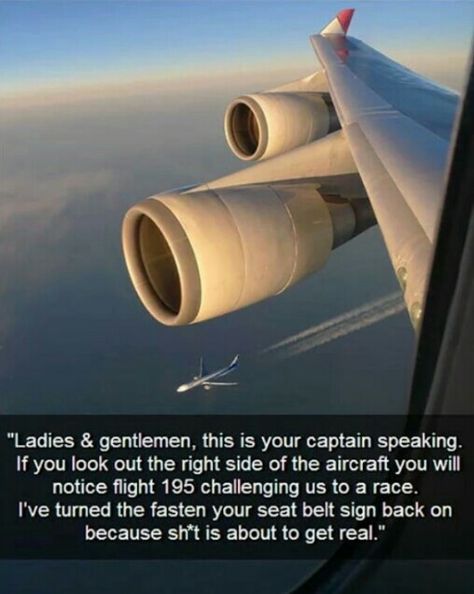 Best captain ever Aviation Humor, Totally Me, E Card, Funny Pins, Bones Funny, Funny Posts, Statistics, The Words, Funny Cute