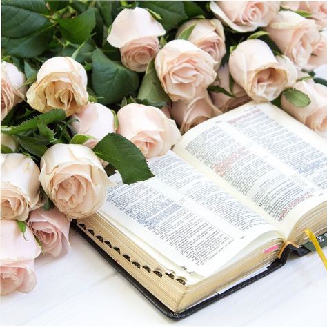 Bible Quotes Background, Christian Photography, Wallpaper Rosa, Bible Photos, Ayat Alkitab, Book Flowers, Bible Reading Plan, Read Bible, Premium Photo