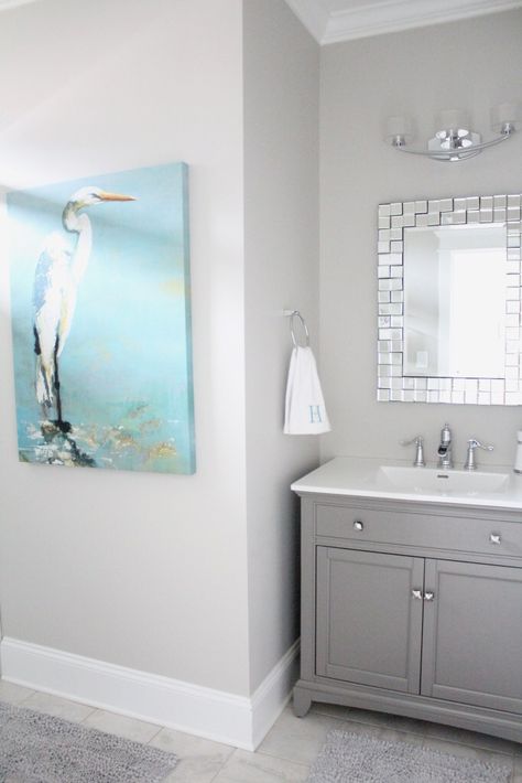 Wall color is Repose Gray Sherwin Williams Light Grey Bathrooms Paint, Grey Painted Bathroom Walls, Grey Bathroom Walls Gray Paint, Bathroom Light Grey Walls, Light Gray Walls Bathroom, Bathroom With Light Gray Walls, Silver Grey Wall Paint, Silver Gray Wall Paint, Coastal Grey Bathroom