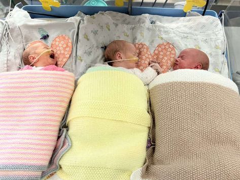 Triplets Babies Newborns, Triplet Newborn, Triplet Nursery, Triplets Nursery, Identical Quadruplets, Newborn Triplets, Triplets Pregnancy, Identical Triplets, Multiple Births