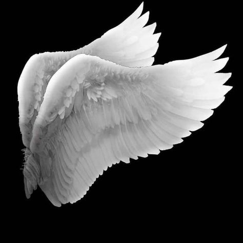 Angel Wings Png, Wings Png, Picsart Png, White Angel Wings, Wings Drawing, Angel Tattoo Designs, Mobile Photo Editing, Wings Art, New Background Images