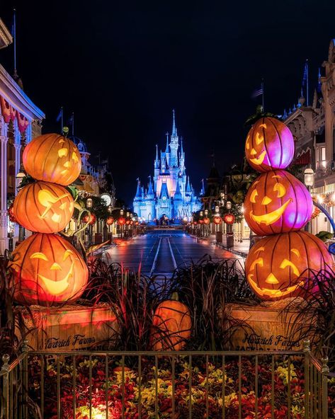 Disney Main Street Wallpaper, Disneyworld Halloween Aesthetic, Disney World During Halloween, Disney In Halloween, Walt Disney World Halloween, Disney World Halloween Wallpaper, Disney World Halloween Aesthetic, Disneyland Halloween Wallpaper, Disney Fall Aesthetic