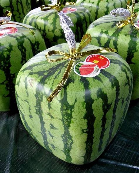 Japan Begins Selling Cube-Shaped Watermelons To Customers Around The World Square Watermelon, Watermelon Cooler, Japanese Town, Burnt Toast, Watermelon Art, Dirty Dancing, Best Fruits, Fruits And Vegetables, Melon