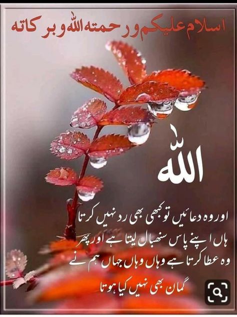 Asslam O Alaikum Subha Bakhair, Islamic Birthday Wishes, Gud Morning Images, Subha Bakhair, Gud Morning, Eid Mubarak Wishes, Morning Quotes Images, Morning Prayer Quotes, Assalamualaikum Image