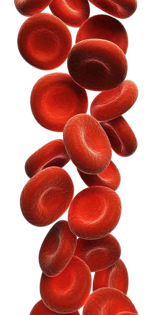 Blood Cells Red Blood Cells Drawing, College Gym, Blood Wallpaper, Word Template Design, Certificate Background, Coconut Oil Skin Care, Biology Art, Jumping Rope, Medical Photos