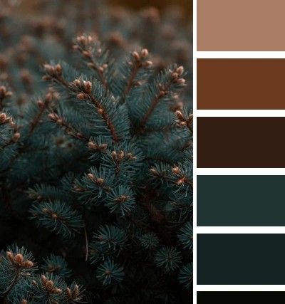 Winter Wedding Colors 2023, Forest Green Wedding Palette, Winter Color Pallets, Emerald Green Bedroom Colour Schemes, Forest Wedding Colors Palette, Cozy Bedroom Color Schemes, Cabin Color Palette, Forest Green Color Scheme, Forest Color Scheme