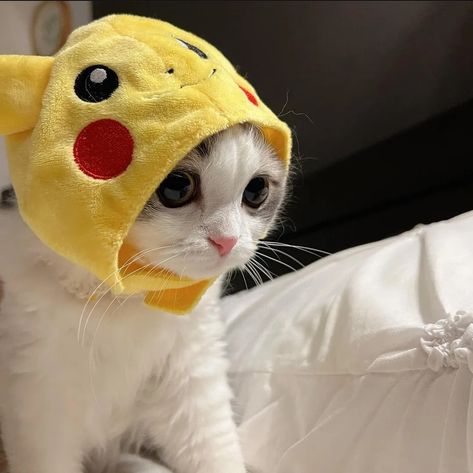 Pikachu, Crochet Hats, Memes, Crochet, Hats