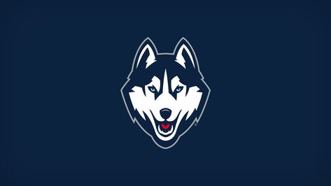 UConn Announces Changes to Division of Athletics Uconn Wallpaper, Uconn Aesthetic, Transition Music, Canteen Design, Husky Logo, Imac Wallpaper, Uconn Womens Basketball, Team Builders, Dream Collage