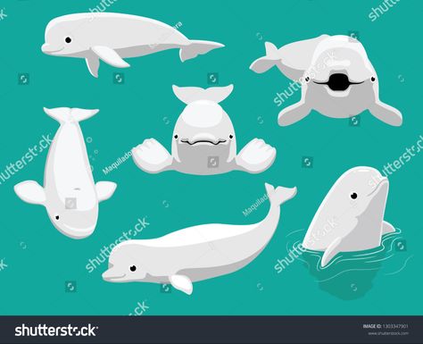 How To Draw A Beluga Whale, How I Draw Belugas, Beluga Whale Tattoo Drawings, Beluga Whale Illustration, Cute Beluga Whale, Beluga Illustration, Whale Illustration, Whale Painting, Beluga Whale