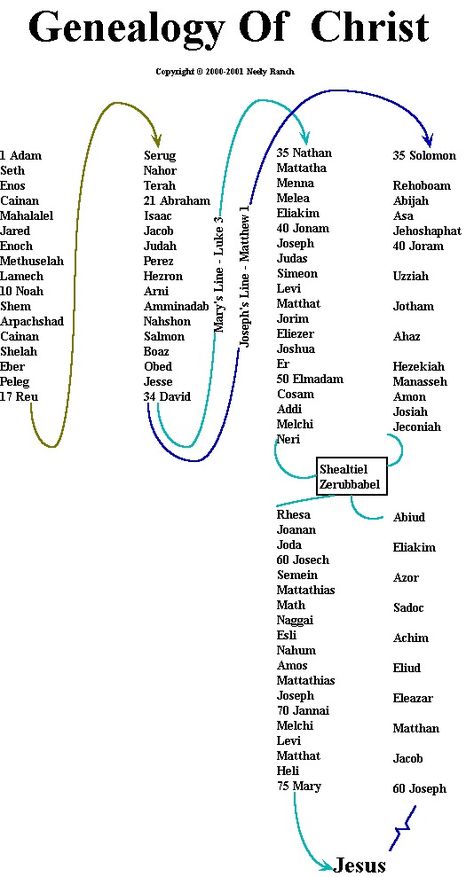 genealogyjc.gif (534×989) Bible Genealogy Chart, Timeline Of Jesus Life, Biblical Genealogy, Jesus Genealogy, Isaiah Bible Study, Bible In Chronological Order, Lineage Of Jesus, Bible Archeology, Bible Theology