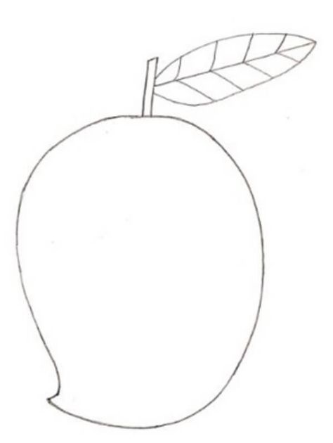 Mango Drawing & Sketches for Kids Check more at https://www.kidsartncraft.com/mango-drawing-sketches-for-kids/ Mango Sketch, Mango Drawings, Sketches For Kids, Mango Drawing, Drawing Kids, Children Sketch, Tracing Paper, Elegant Frame, Sketch Drawing