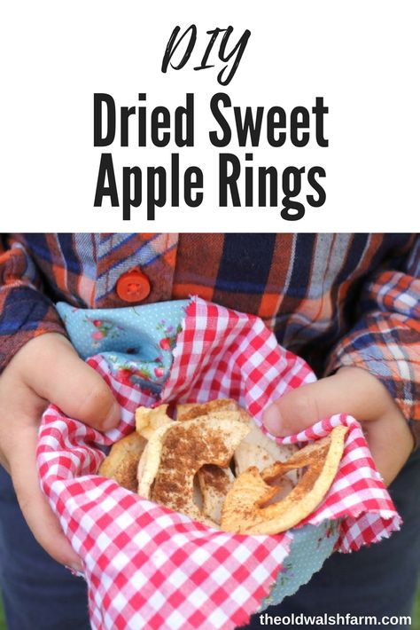 Dried Sweet Apple Rings – A Healthy Snack via @www.pinterest.ca/theoldwalshfarm/ Dried Apple Rings, Root Cellars, Roasted Dandelion Root, Scratch Cooking, Tea Latte Recipe, Apple Rings, Cooking Jasmine Rice, Cooking Dried Beans, Apple Chips