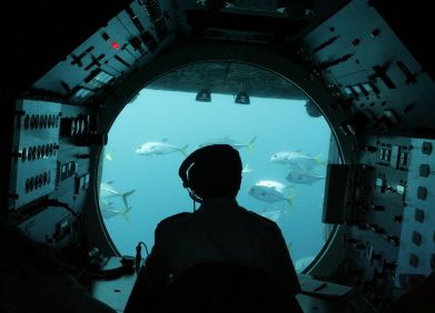 Submarine Pictures, What Is Science, Leagues Under The Sea, Discovery Channel, Chongqing, Stardew Valley, Oil Rig, Sealife, Deep Sea