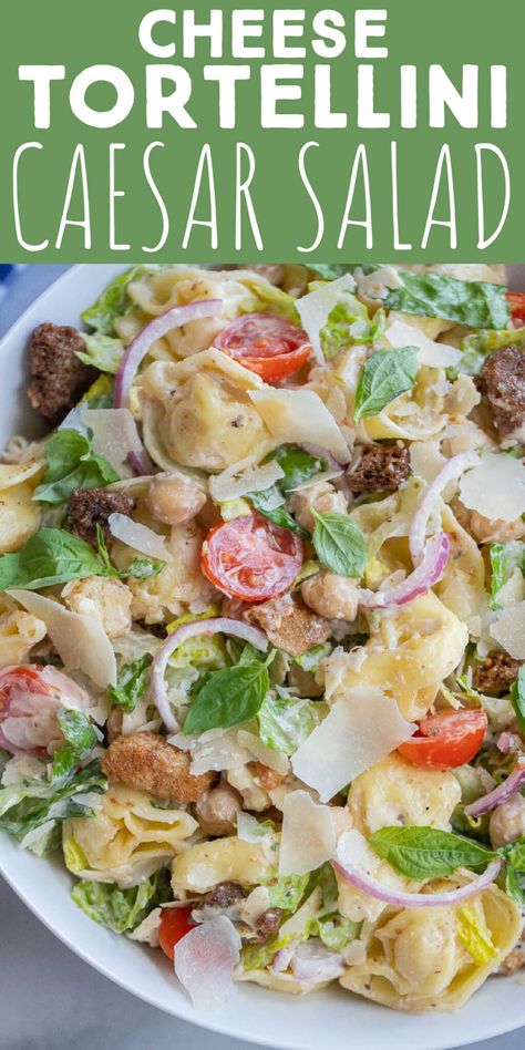 This Cheese Tortellini Caesar Salad Recipe is easy to make, requires just a few ingredients and is great for all your summer needs! Serve as a side dish at your next picnic or enjoy for lunch with a side of baked bread. This filling vegetarian pasta salad is packed with protein and veggies. #tortellinirecipe #pastasalad #caesarsalad #vegetarian Picnic Salad Recipes, Picnic Pasta Salad, Vegetarian Pasta Salad, Amazing Vegetarian Recipes, Summer Pasta Recipes, Summer Needs, Ravioli Pasta, Pasta Salad With Tortellini, Tortellini Recipes