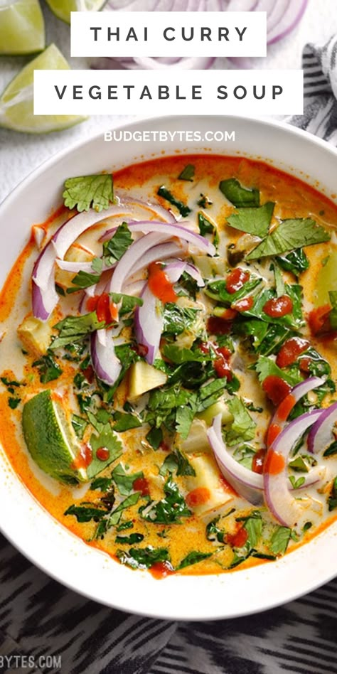 Thai Coconut Vegetable Soup, Vegetarian Coconut Soup, Thai Stew Recipes, Thai Curry Vegetable Soup, Coconut Soup Vegan, Thai Red Curry Soup Vegetarian, Healthy Thai Soup Recipes, Roasted Vegetable Soup Coconut Milk, Spicy Vegetarian Soup