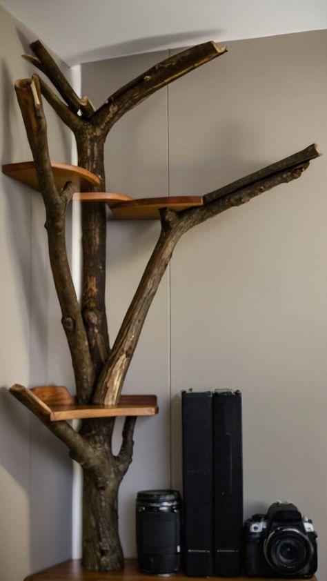 Transform your bedroom into a unique grunge-inspired sanctuary with DIY Tree Branch Shelves Learn how to create floating plant wall shelves in your corner or on the wall with brackets This step-by-step tutorial will guide you to achieve the ultimate rustic look with tree branch shelves for a cozy and stylish bedroom ambiance Diy Indoor Tree Branch, Tree Branch Diy Projects, Tree Limb Projects Diy Ideas, Diy Tree Bookshelf, Plant Wall Shelves, Branch Shelves, Diy Tree Branch, Tree Branch Decor, Square Shelf