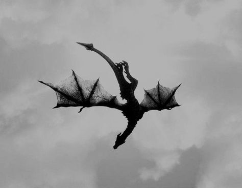 Knight Aesthetic, Shadow Dragon, Targaryen Aesthetic, Dragon Knight, Dragon Rider, Aesthetic Tattoo, Cover Up Tattoos, Fantasy Aesthetic, Black Dragon