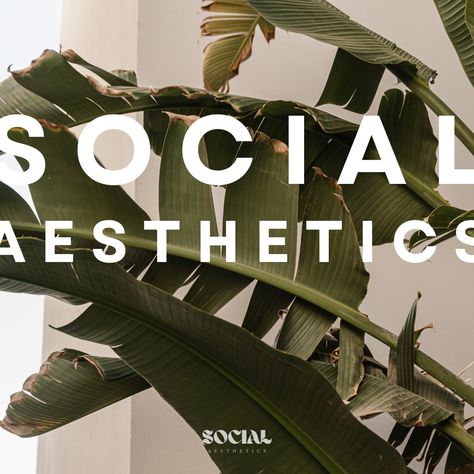 We are Social Aesthetics, dedicated to revolutionizing your social media presence! 👩🏽‍💻 Limited spots are open for Q4. Seize the opportunity to elevate your Instagram account before the year ends. Schedule your complimentary info call via the link in our bio or send us a DM for a prompt response from our team. #socialmediaagencynürnberg #socialmediaagencygermany #socialmediaagencyservices #socialmediamanagementagency #behindthescenes #adayinmylife #socialmediamanager Social Media Agency, Media Agency, Social Media Presence, Social Media Manager, Instagram Accounts, Instagram Account, Behind The Scenes, The Year, No Response