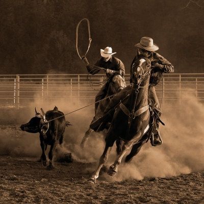 Calf Roping, Rodeo Time, Rodeo Cowboys, Cowboy Pictures, Real Cowboys, Cowboy Aesthetic, Western Photography, Rodeo Horses, Wilde Westen