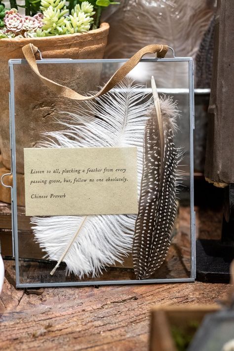 Each set includes the following: 1. Lady Amherst's pheasant feather 2. Turkey feather 3. Guineafowl feather 4. Peacock feather 5. Ostrich feather 6. Chicken feather Feather Collection Display, Feather Display Ideas, Chicken Feather Crafts, Turkey Feather Decor, Feather Peacock, Wall Framing, Antler Decor, Eyewear Display, Pheasant Feather