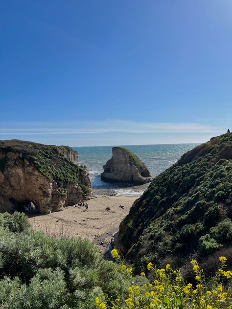 Muir Beach California, Santa Cruz California Aesthetic, Santa Cruz Aesthetic, Tarah Dewitt, Tiburon California, Banana Slug, California Roadtrip, California Nature, Santa Cruz Beach