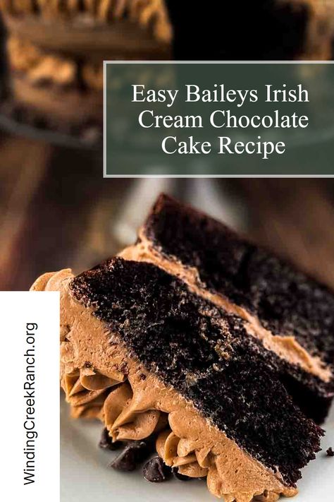 This Baileys Irish Cream Chocolate Cake is a rich and decadent dessert you will love! This incredibly moist and tender cake is infused with the delicious flavor of Baileys Irish Cream and topped with a creamy Baileys buttercream frosting. It makes the perfect St. Patrick's Day dessert! Baileys Irish Cream Chocolate Cake With Baileys Buttercream Frosting, Chocolate Alcohol Cake, Baileys Chocolate Cake Recipe, Chocolate Cake With Alcohol, Baileys Irish Cream Chocolate Cake, Baileys Chocolate Cake, Baileys Cake Recipe, Irish Cream Chocolate Cake, Baileys Irish Cream Frosting