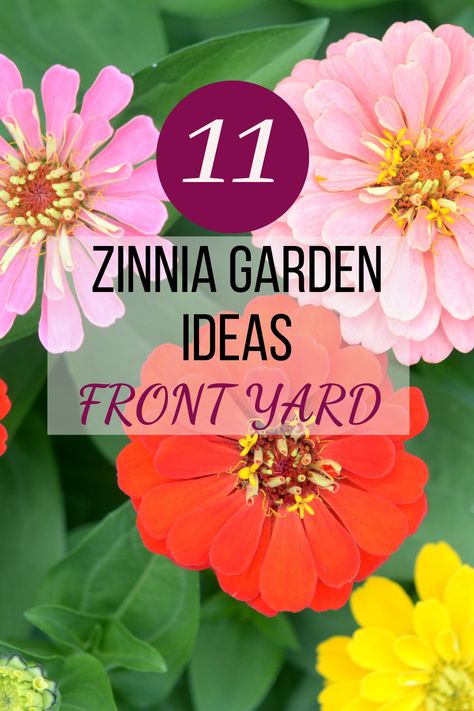 HEY EVERYONE! CHECK OUT 11 GORGEOUS ZINNIA GARDEN BED IDEAS! LEARN SOME TIPS AND TRICKS ON ZINNIAS AND CREATE A BEAUTIFUL GARDEN BED FOR YOUR FRONT YARD! ZINNIAS ARE BEGINNER FRIENDLY AND ARE SUPER EASY TO STYLE! WE HAVE A FEW DESIGNS TO INSPIRE YOU! WE HOPE YOU LOVE THIS POST! #YARDS #PLANTERS #SUMMER #DESIGNS #LAYOUTS #FRONTYARD #LANDSCAPE Zinnias In Garden, Zinnia Landscaping, Zinnia Garden Beds, Zinnia Garden Landscapes, Zinnia Flower Bed, Zinnias Garden Ideas, Small Garden Under Stairs, Boarder Plants, Frontyard Landscape Layout