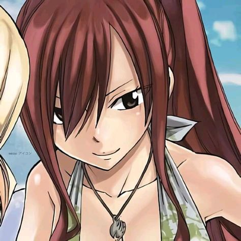 Juvia And Erza Matching Icons, Lucy And Erza Matching Icons, Erza Pfp, Erza Scarlet Pfp, Orihime Bleach, Fairy Tail Erza Scarlet, Fairy Tail Photos, Fairy Tail Girls, Fairy Tail Lucy