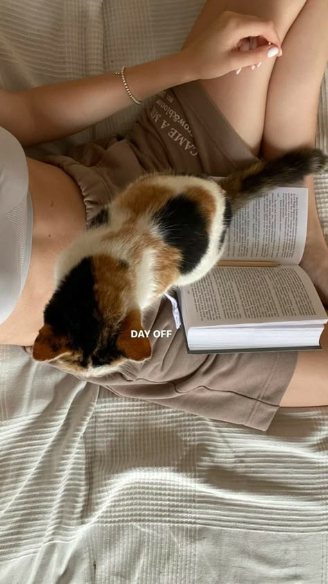 Flipagram Instagram, Foto Ideas Instagram, Cat Aesthetic, Jolie Photo, Story Instagram, Pretty Cats, Instagram Story Ideas, Study Motivation, Cat Mom