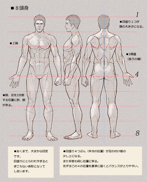 Muscles Illustration, Illustration Tutorial, Bones And Muscles, The Human Body, Muscles, To Draw, Bones, Human Body, Human