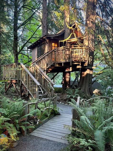 Lodge Fireplace, Treehouse Point, From The Pond, Visit Places, Rocky Shore, Tree Houses, Breakfast Area, Bath House, Washington State