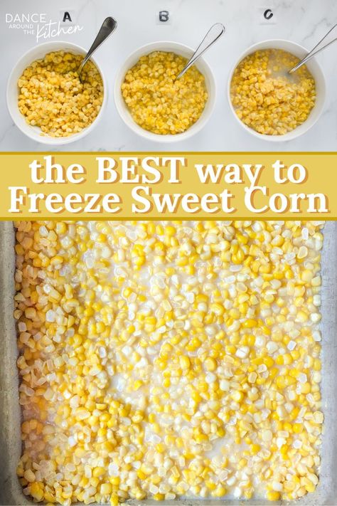 how to freeze corn on the cob How To Put Fresh Corn In Freezer, Preserving Sweet Corn, Sweet Corn Freezer Recipe, How To Freeze Fresh Sweet Corn, How To Preserve Fresh Corn, Freezer Corn Recipe No Cook, Frozen Corn Recipes Easy, Freezing Sweet Corn Without Blanching, Preserving Corn Recipes