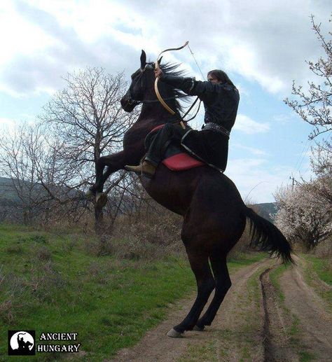 Archery Tag, Horse Archery, Mounted Archery, Archery Arrows, Action Poses, Horse Pictures, Medieval Fantasy, Horse Rider, Horseback Riding