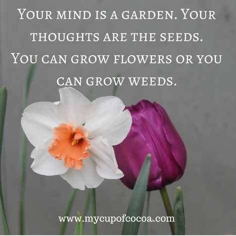 11 Inspirational Quotes For Spring • My Cup of Cocoa Quotes For Spring, Gardening Quotes Inspirational, Springtime Quotes, Flower Quotes Inspirational, Citation Nature, Past Quotes, Quotes Arabic, Spring Quotes, Great Inspirational Quotes