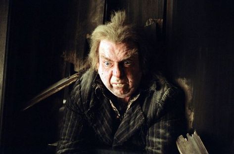 Harry Potter Villains, Percy Weasley, Michael Gambon, Robbie Coltrane, Richard Harris, Barty Crouch Jr, Matthew Lewis, Julie Christie, Peter Pettigrew