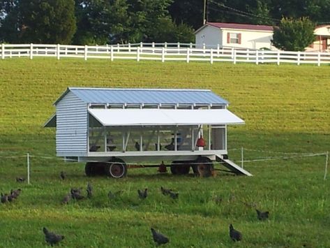 Our Egg Mobile, Egg Cart'n, Roaming Hen House... etc | BackYard Chickens - Learn How to Raise Chickens Egg Mobile, Biodynamic Gardening, Hen Coop, Mobile Chicken Coop, Livestock Shelter, Chicken Shed, Nest Boxes, Hobby Farming, Backyard Chicken Coop Plans