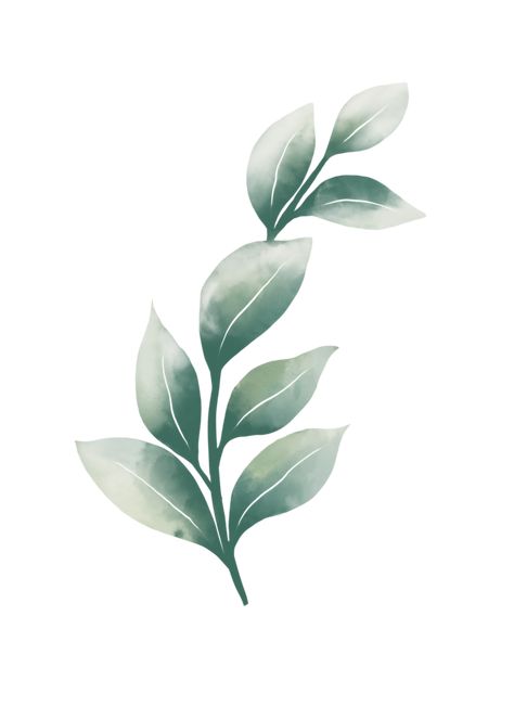 Watercolor Eucalyptus, Plant Photography, Eucalyptus Leaves, Free Png, Cricut Projects, Transparent Background, Template Design, Vector Free, Royalty