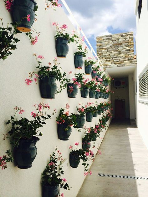 Water the wall garden lightly once every 1-2 weeks, depending on humidity levels. Rotate the wall planter occasionally to ensure even sunlight exposure. Trim overgrown or damaged leaves to maintain its shape. #Hashtags: #SucculentWallGarden #SucculentDIY #VerticalGarden #SucculentWallPlanter #GreenLiving #IndoorSucculents #DIYHomeDecor Front Yard Patio Ideas Curb Appeal, Succulent Wall Garden, Outdoor Wall Fountains, Succulent Wall Planter, Terrace Garden Ideas, Front Yard Decor, Small Patio Garden, California Garden, Home Decor Idea