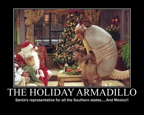 The holiday armadillo! haha i hope you see this after spending xmas is mexico! @Maria Canavello Mrasek Canavello Mrasek Zavala Friends Christmas Episode, Holiday Armadillo, Christmas Quiz, Christmas Episodes, Bad Santa, Friends Moments, Chandler Bing, I Love My Friends, Friends Show