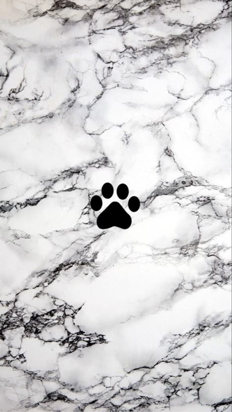 Paw Print Background Wallpapers, Paw Print Wallpaper Aesthetic, Cute Dog Backgrounds, Paw Print Wallpaper Iphone, Iphone Pozadine, Slike Za Pozadine Za Telefon, Slatke Pozadine, Paw Print Background, Paw Wallpaper