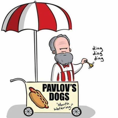 #humor #funnymemes #pavlov #puns Dream Psychology, Psychology Humor, Psychology Studies, Psychology Jokes, Vision Board Party, Sticker Design Inspiration, Psychology Student, The Rainforest, Relatable Post Funny