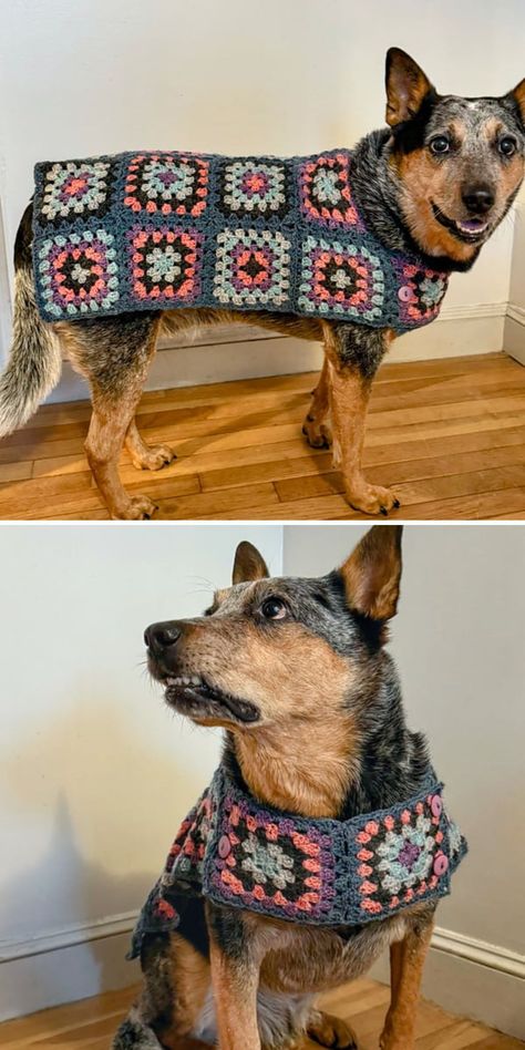 Granny Square Dog Sweater, Granny Square Dog, Dog Jumper Pattern, Big Dog Sweaters, Crochet Dog Sweater Free Pattern, Classic Granny Square, Large Dog Sweaters, Dog Dress Pattern, Crochet Dog Clothes