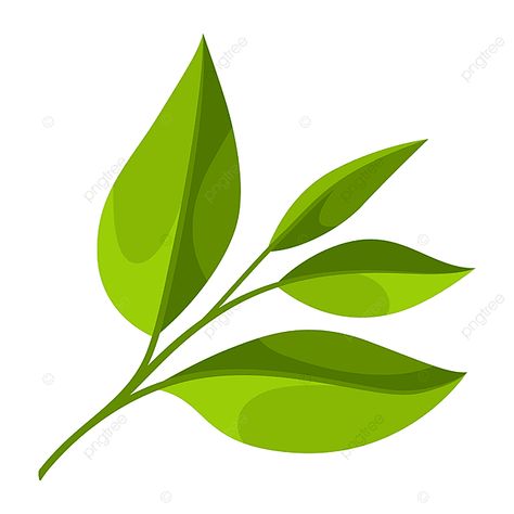 Green Tea Illustration, Tea Leaf Illustration, Tea Leaves Illustration, Tea Logo, Leaves Illustration, Leaf Illustration, Spring Tea, Leaves Vector, Tea Garden