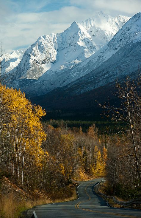 Eagle River Road in Eagle River, Alaska. My hometown. Eagle River Alaska, Misty Autumn, Alaska Photography, North To Alaska, Amazing Places To Visit, Visit Alaska, Alaska Vacation, Lake George Ny, River Road