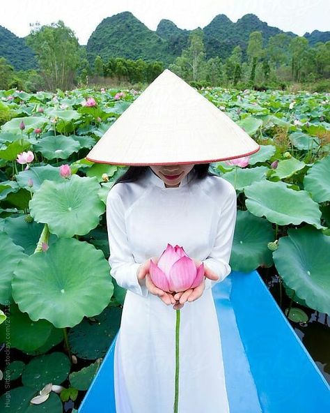 Lotus Garden, Beautiful Vietnam, Vietnam History, Vietnam Art, Choi Min Ho, Asian Tattoos, Jung Yong Hwa, Hand Crafts For Kids, Lotus Flowers