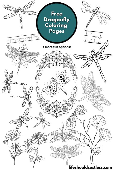 Learn all about dragonflies as you color. From writing practice worksheets, to various designs, we have dragonfly coloring options for all. Free Printable Dragonflies, Dragonfly Coloring Pages Free Printable, Dragonfly Template Free Printable, Dragonfly Artwork, Dragonfly Images, Writing Practice Worksheets, Pdf Templates, Templates Printable Free, Free Printable Coloring